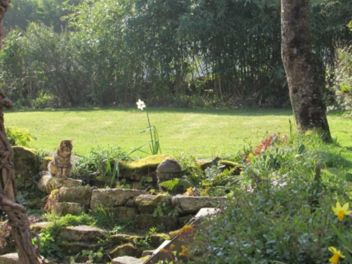 Bed and Breakfast Le Champ De La Mer à Larmor-Baden 0*,  France